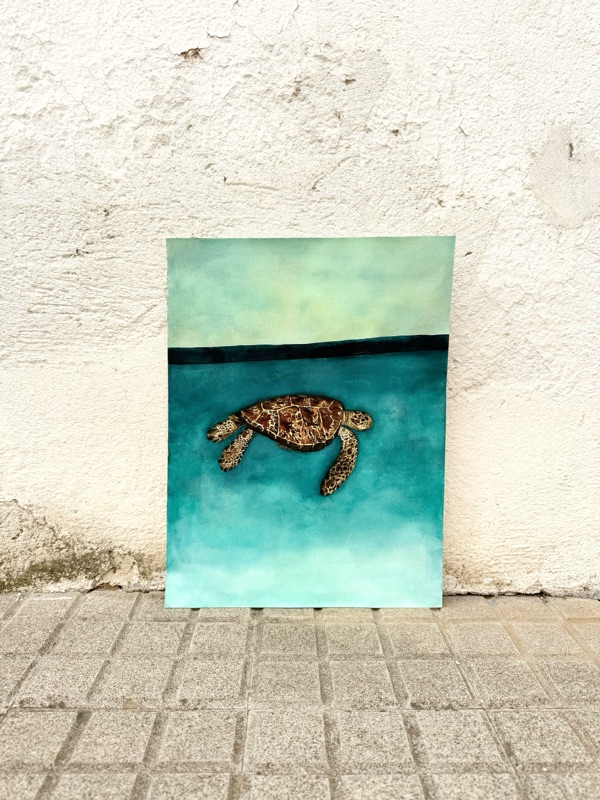 Tortuga 3